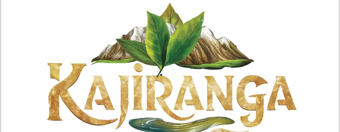 Banner Slide
